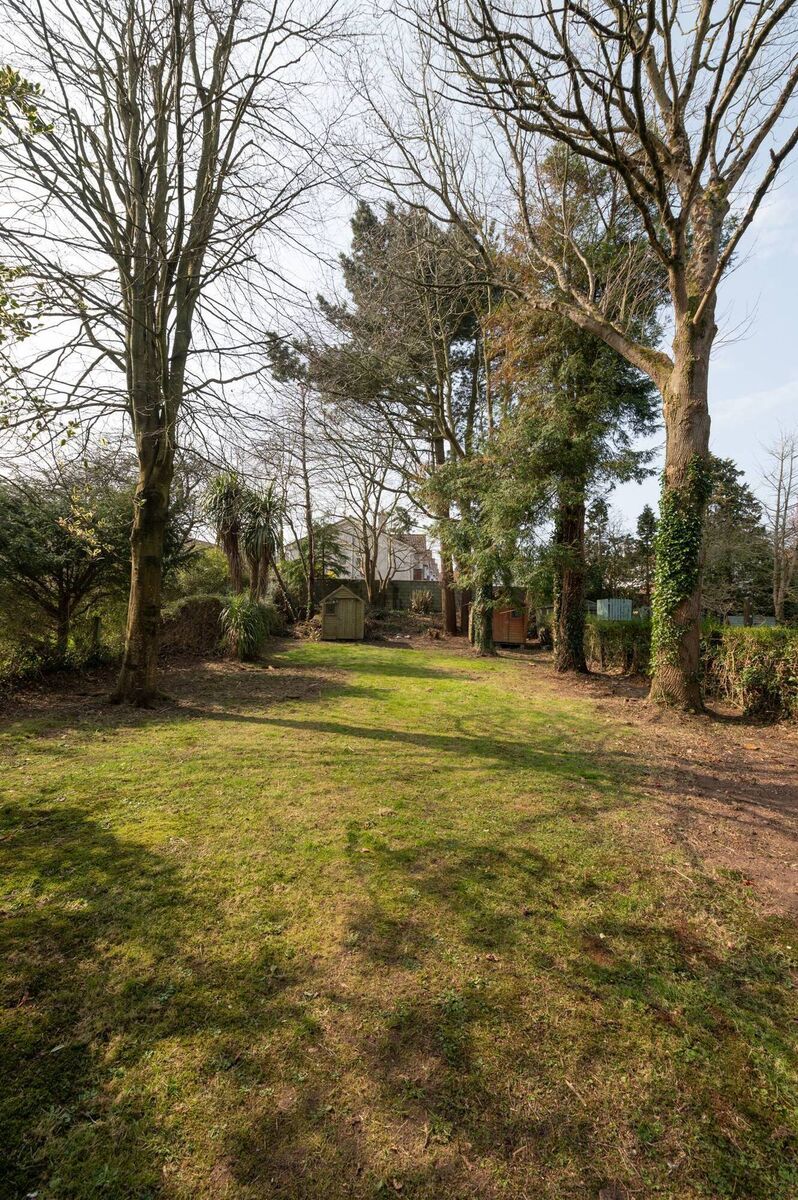 Long, long back garden faces west