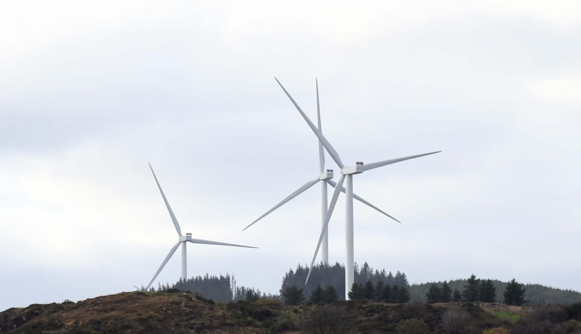 Planners to seek reduction in number of wind farms proposed for mid-Cork site 