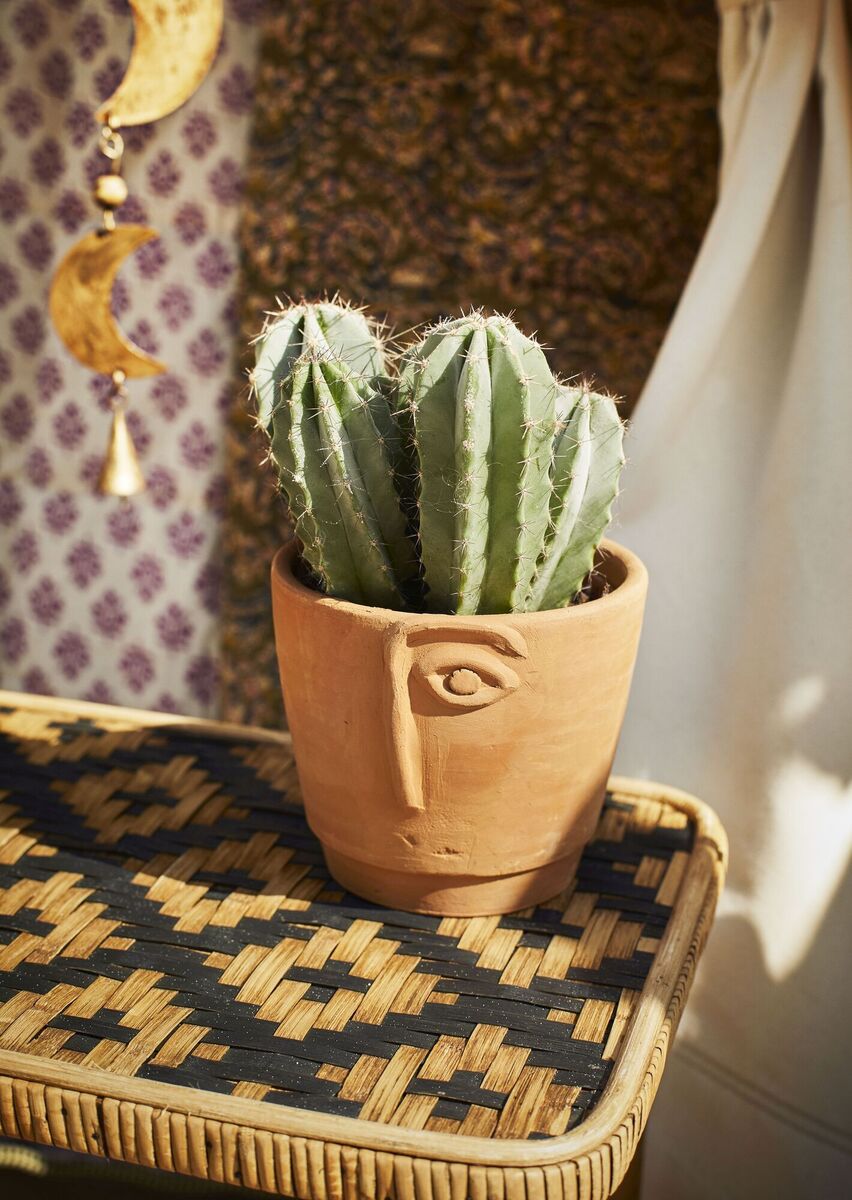  Introducing terracotta in a simple and practical way gives the look without too much commitment. The Face terracotta plant pot, €32 at www.aprilandthebear.com.