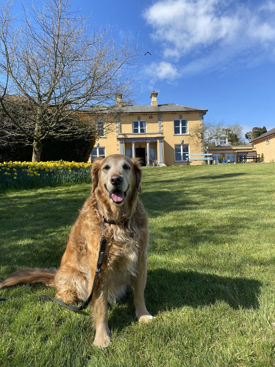 Vipp was delighted to visit pet-friendly Mustard Seed in Limerick