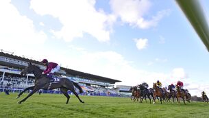 <p>Haziya was an impressive winner at Leopardstown last weekend. 	Picture: Healy Racing</p>