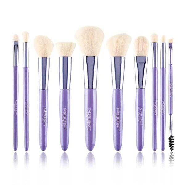 10 piece brush kit from Carter Beauty