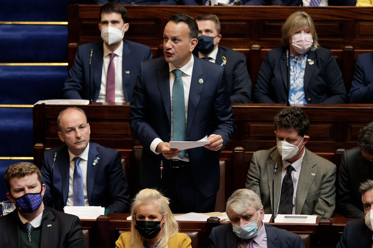 Tánaiste Leo Varadkar speaking after Volodymyr Zelenskyy, president of Ukraine, addressed a joint sitting of the Dáil and Seanad Éireann. Picture: Maxwells