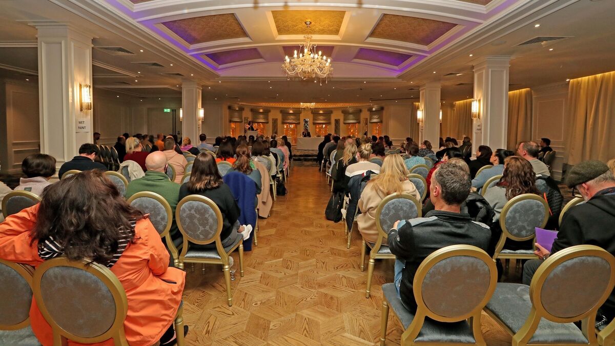 Cork disability forum hears of 'children left crushed in wheelchairs they've outgrown' - Vimarsana News