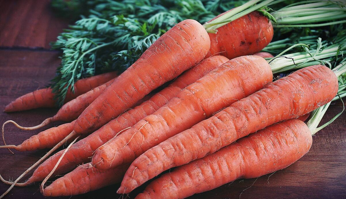 Carrots make excellent snacks for the holidays and are great value this week.