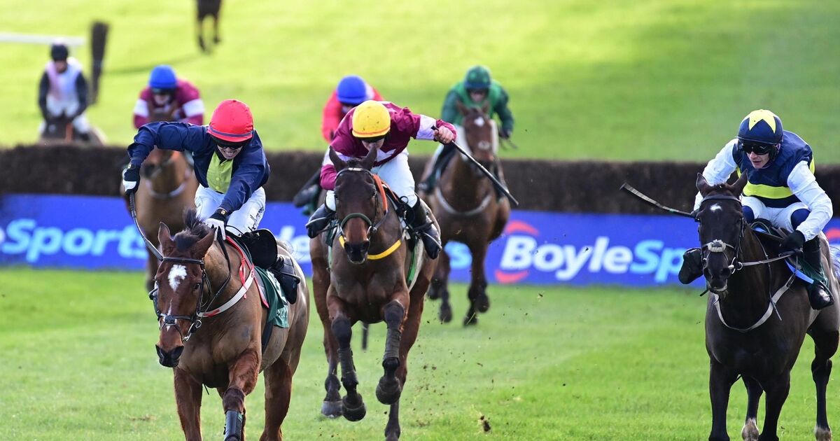 martin brassil grand national