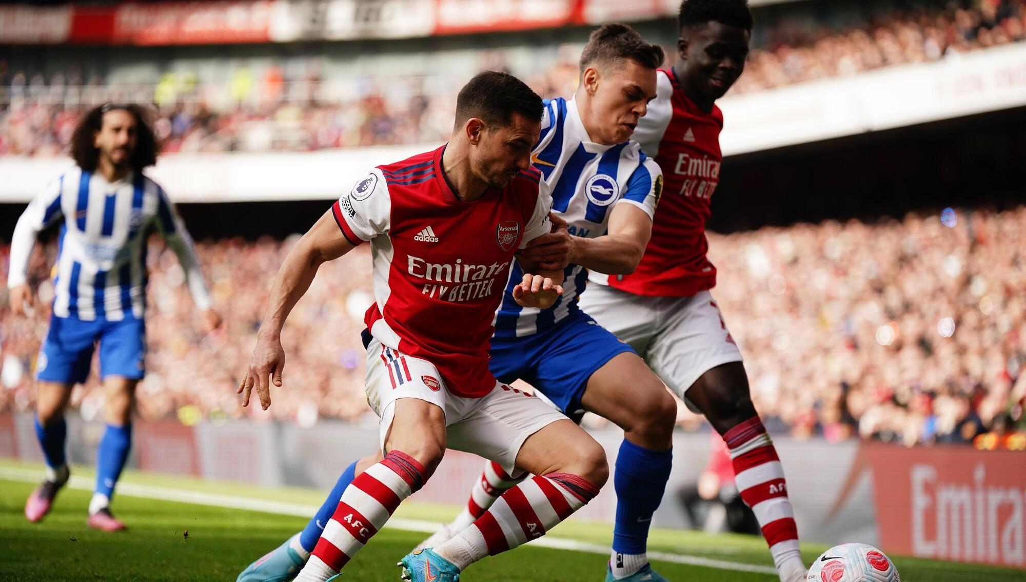 Soaring Seagulls send Arsenal into a damaging nosedive