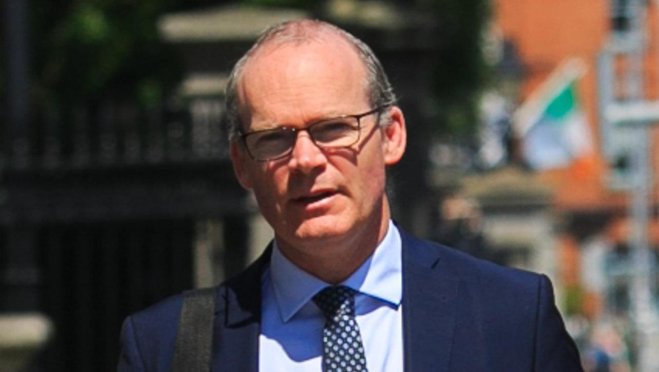 Ireland will push for further sanctions on Russian oil, says Coveney