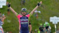 Ulissi wins Giro stage as Evans takes pink