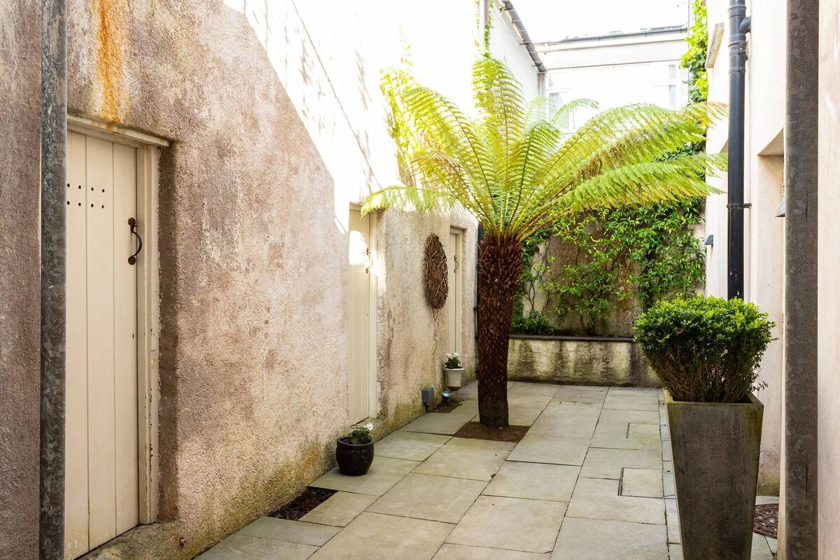 Fern gully in  lower courtyard