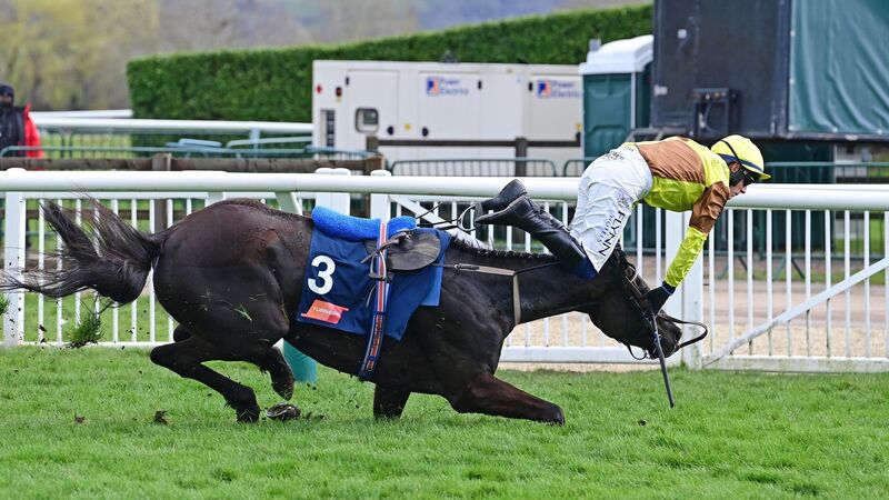 Weekend racing tips: French Claim can strike for in-form Paddy Twomey