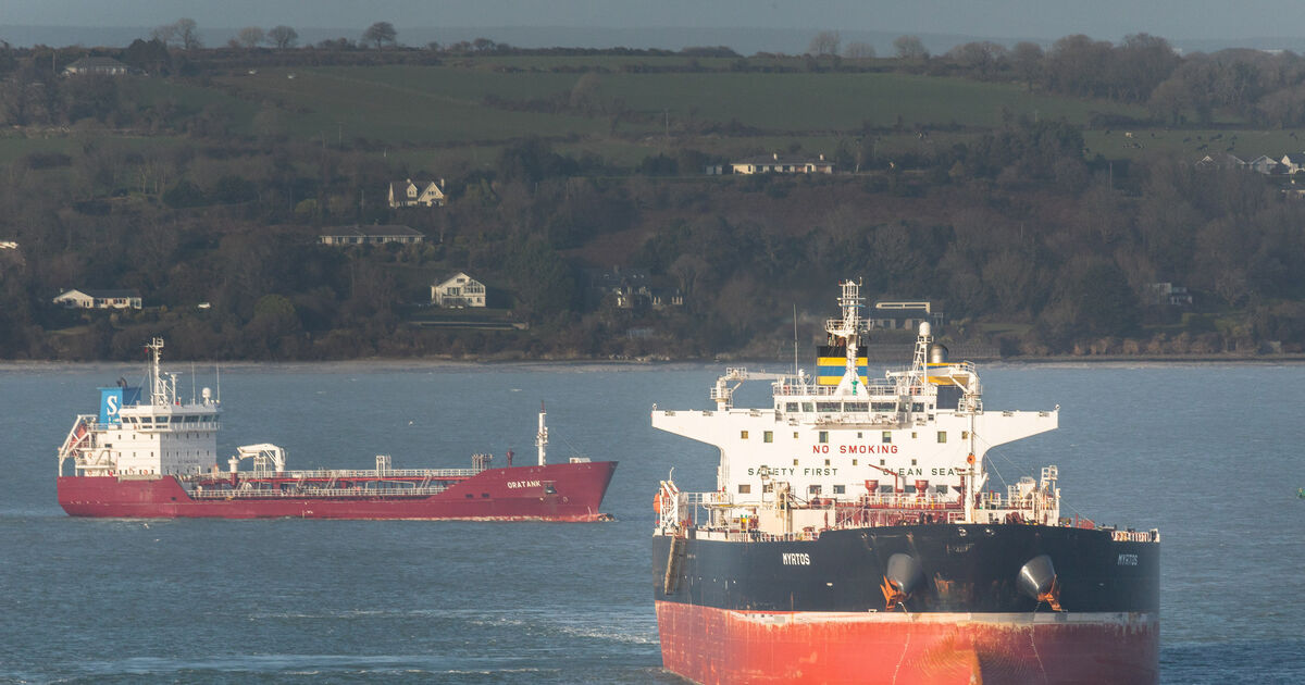 Oil tops $113 a barrel as Libya adds to global supply concerns