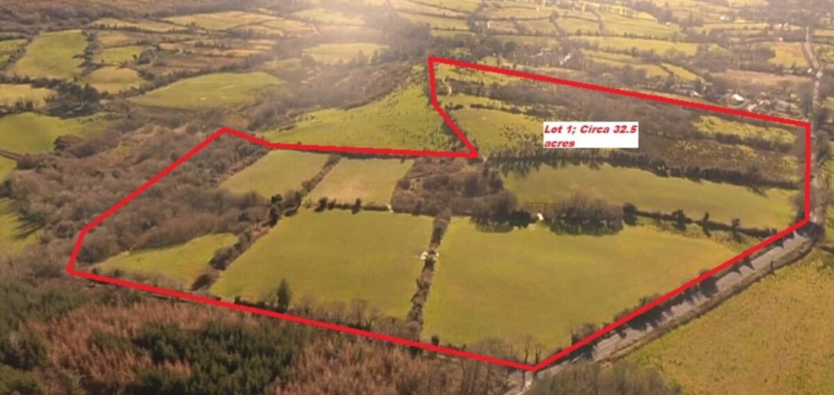 Lot 1 of the three-lot 39-acre holding due for public auction on April 28. Lot 1 of the three-lot 39-acre holding due for public auction on April 28.