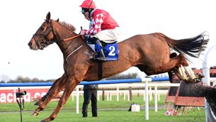 <p>Chemical Energy is a winner of two bumpers, a maiden hurdle and a novice hurdle and on his most recent outing, he finished an honourable eighth behind Banbridge in the Martin Pipe Handicap Hurdle at the Cheltenham Festival. Picture: Healy Racing</p>