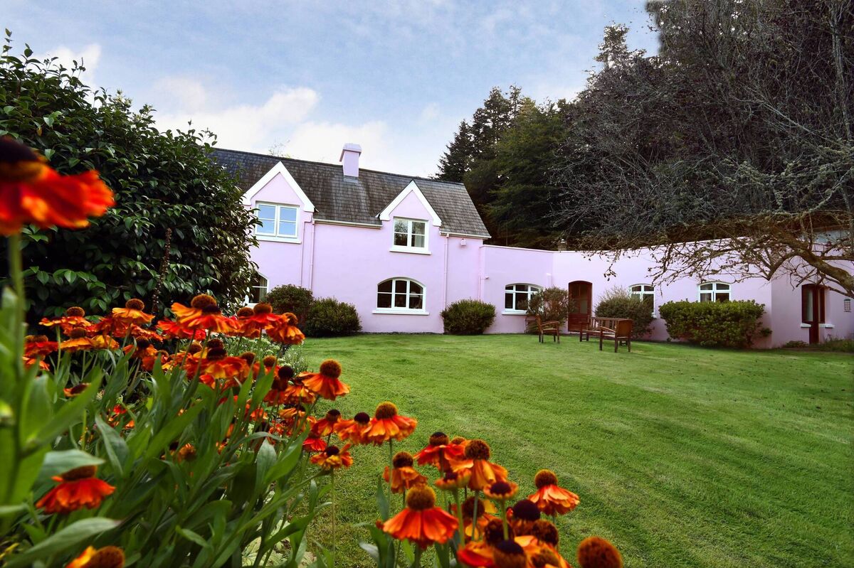 Garden glories at the pink house, one of two