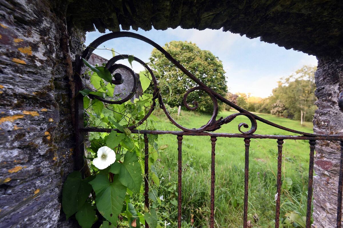 If the walls could talk....