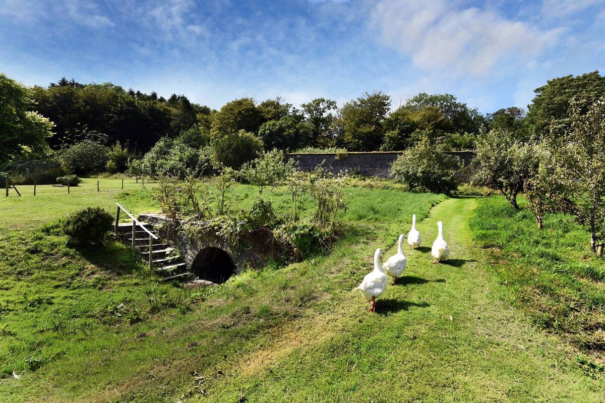 Well worth a gander. Geese pass by the spring-fed old stone well in the two-acre garden