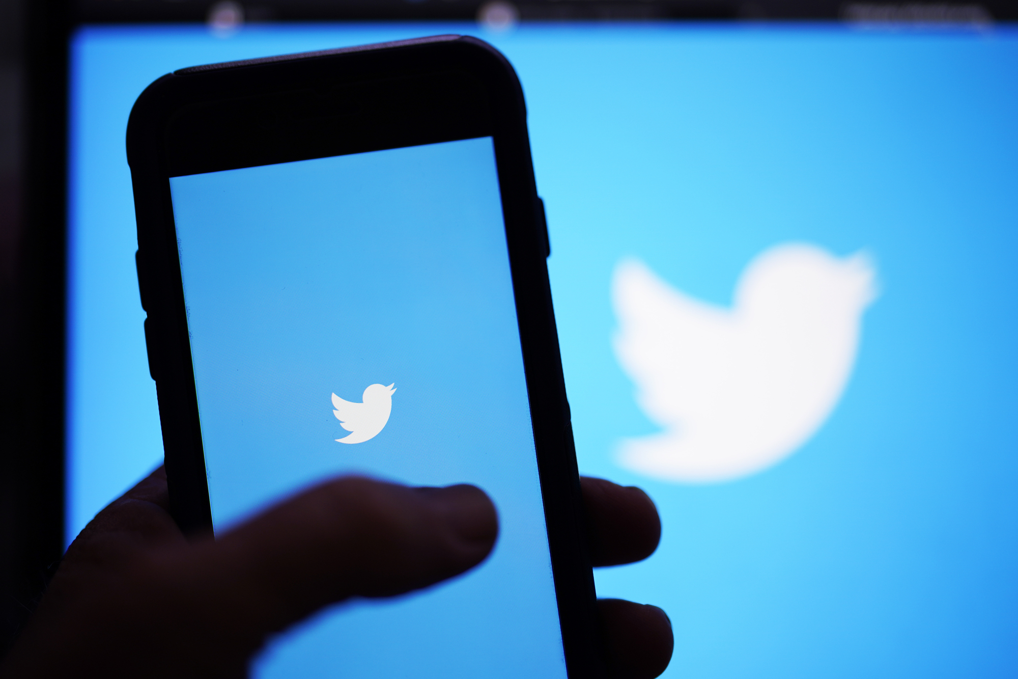 ‘Dangerous’ or ‘free speech champion’? Twitter reacts to Musk takeover