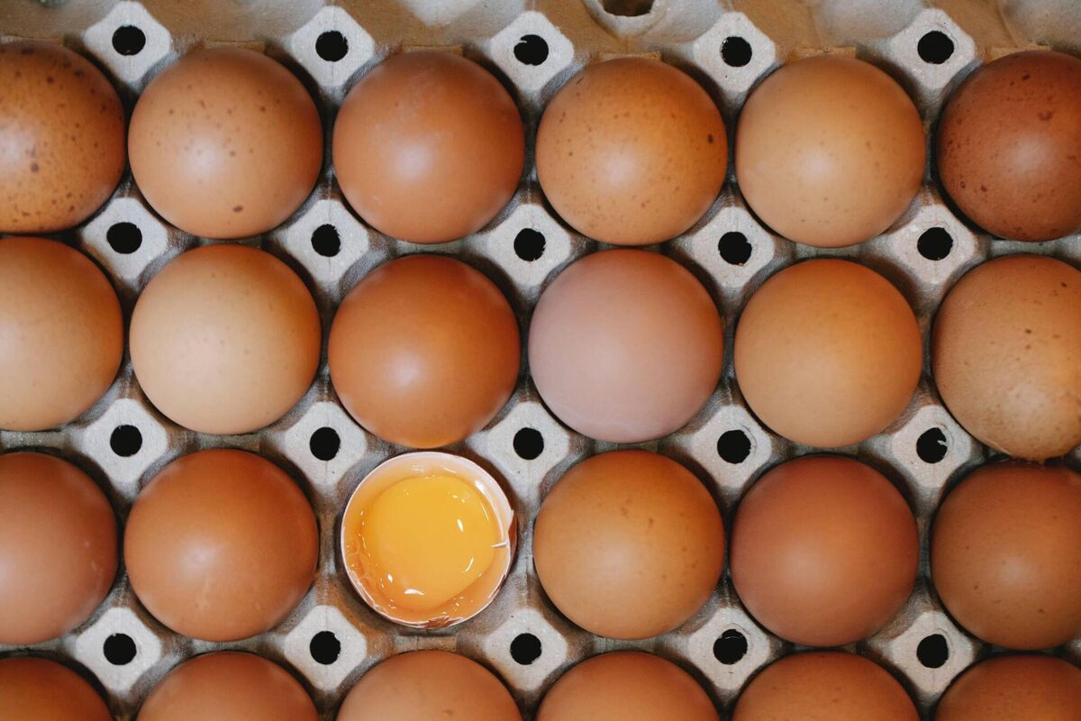 Free-range eggs are on their way back to shelves. 