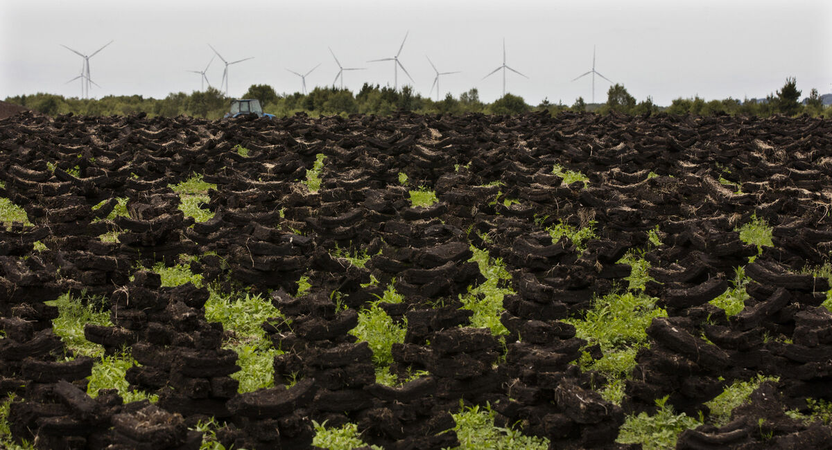 The study found 94% of households that use turf as their primary heating source burn it for at least 42 hours per week on average during winter months. Picture: Eamonn Farrell/RollingNews.ie
