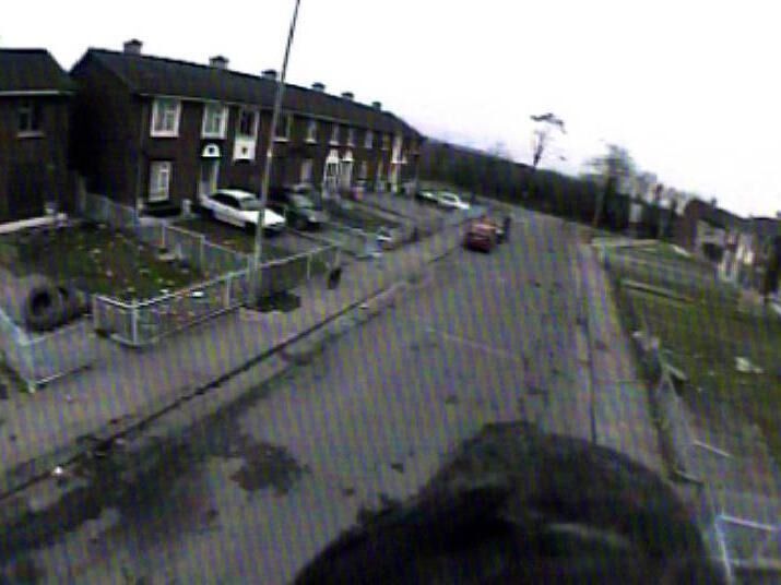  A still from Peregrine Falcons Visit Moyross, by Seán Lynch.