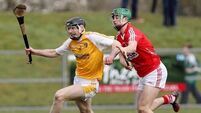 Rebel hurlers' fightback sees Saffrons off