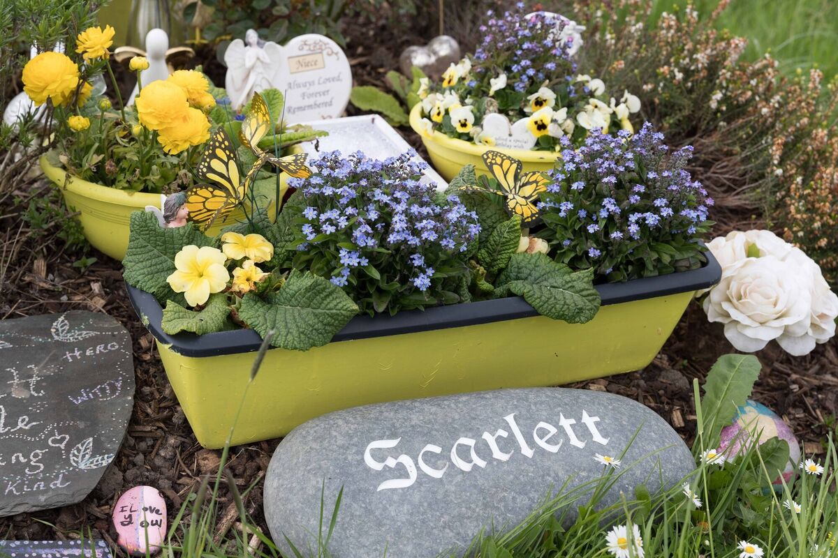  Fowers at Scarlett's grave at Tulla graveyard, Co Clare. Picture: Eamon Ward