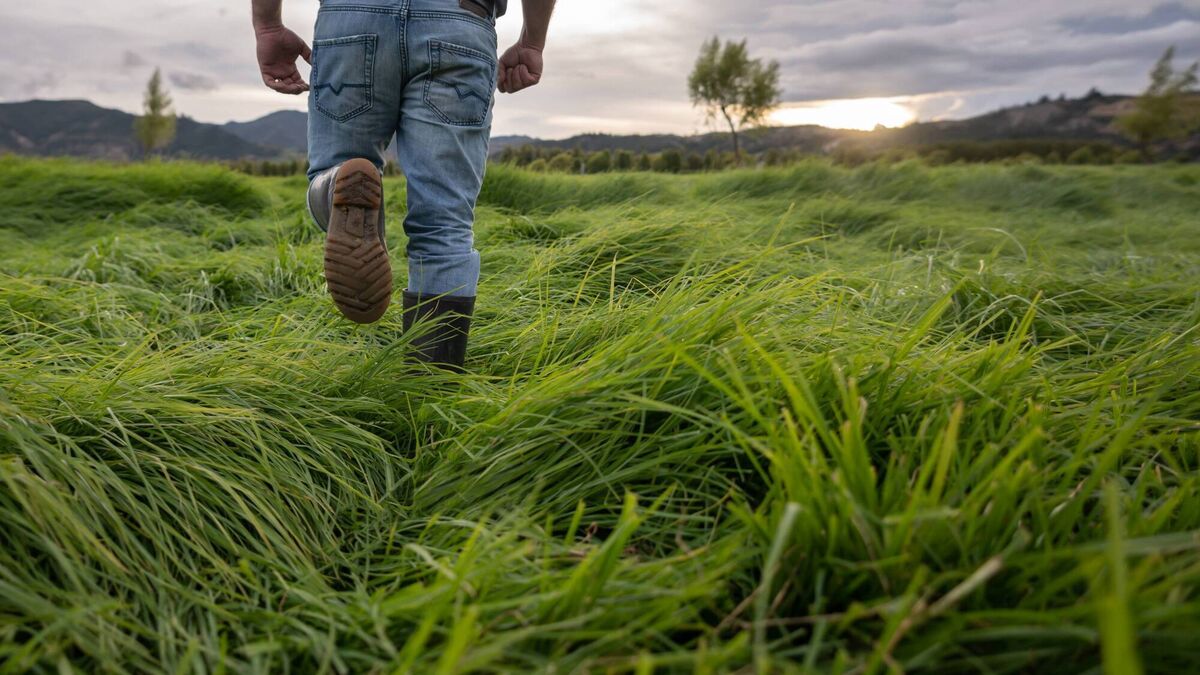 Ireland's cheap food policy has left farmers dependent on imported fertiliser and animal feedstuff — INHFA - Vimarsana News