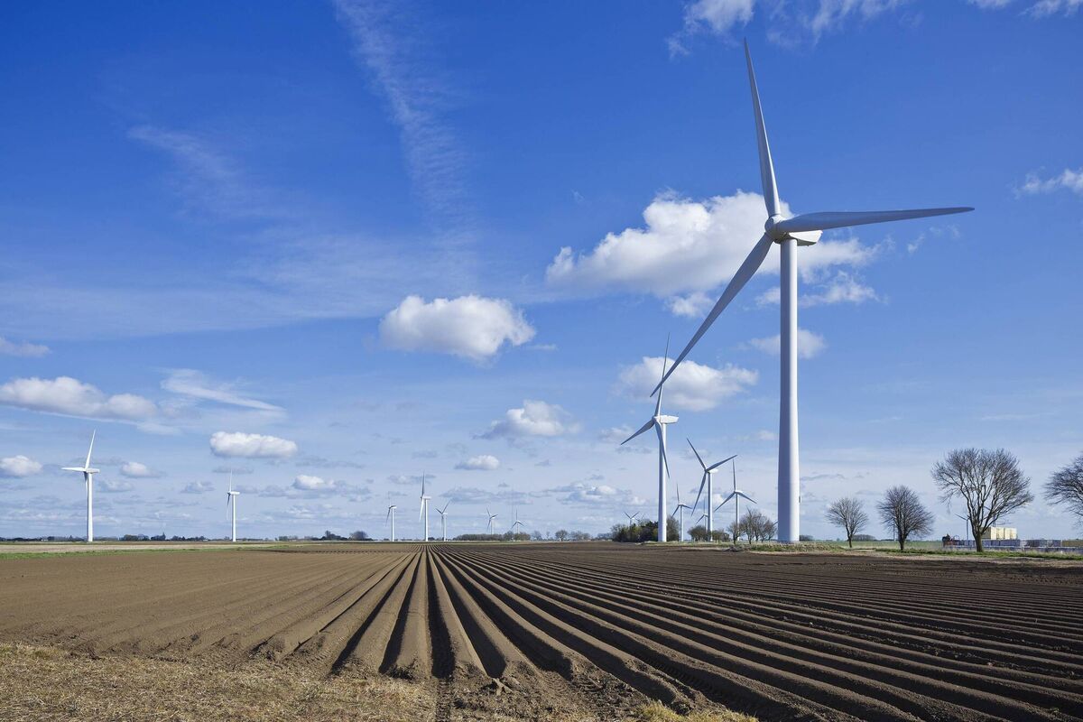 The turbines at The Coldham Estate. The turbines at The Coldham Estate.