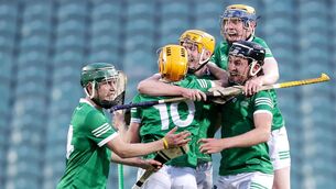 <p>Toast of the town...and county: Limerick's Adam English celebrates at the final whistle with teammates. Pic: INPHO/Laszlo Geczo</p>