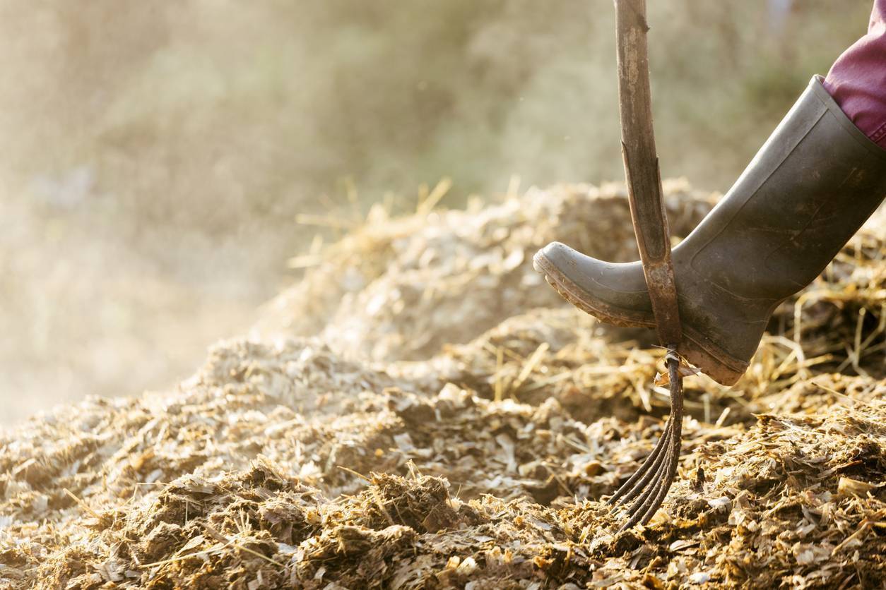 Agriculture can not only ‘help itself, but also other sectors’ in decarbonising