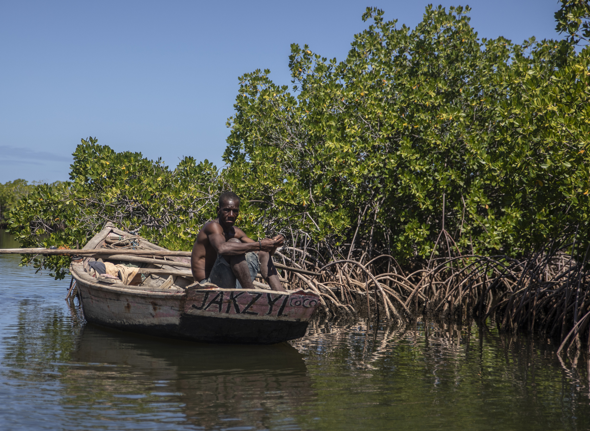 African countries turning to mangrove forest projects to combat climate woes