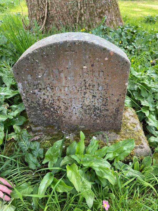 Tanks for the memories: Memorial headstone at base of chestnut tree for Capt John Edward Barry of the Connaught Tank Regiment