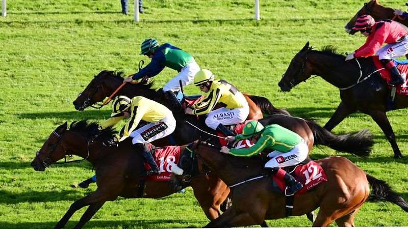 Cork report: Lord Dudley digs deep to land 'savage pot'