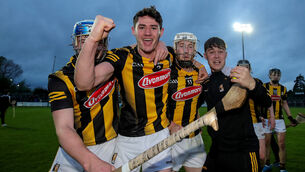 <p>Kilkenny's Peter McDonald and Timmy Clifford celebrate their Leinster final win over Wexford in Cullen Park</p>