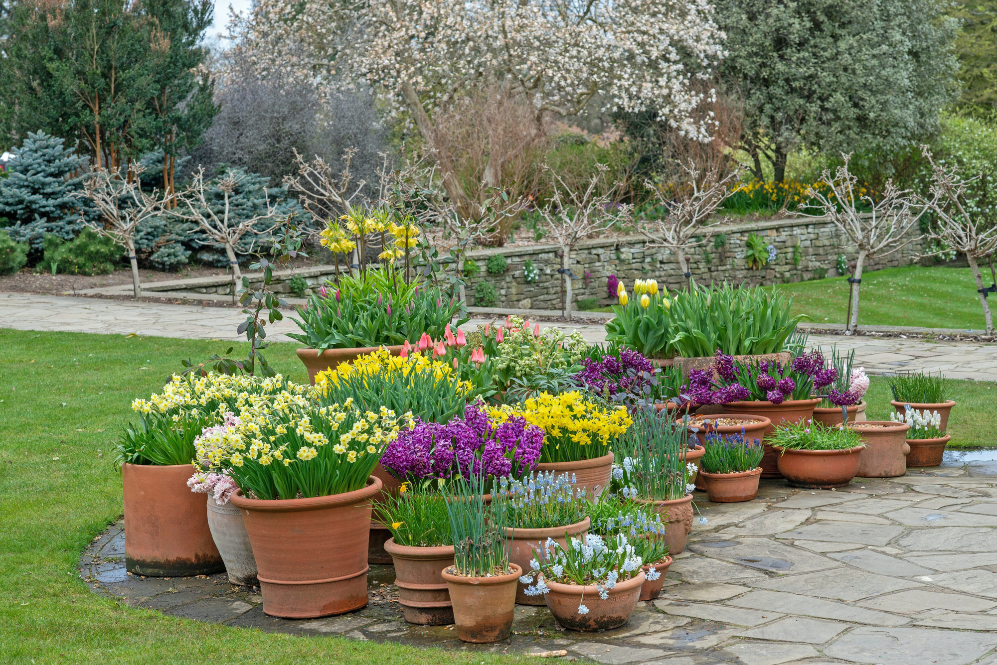 Confused by all the plant pot choices? Here’s how to pick the best containers for your garden