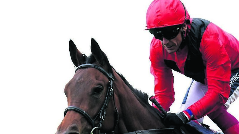 Stoute ready to take wraps off Derby hope Desert Crown