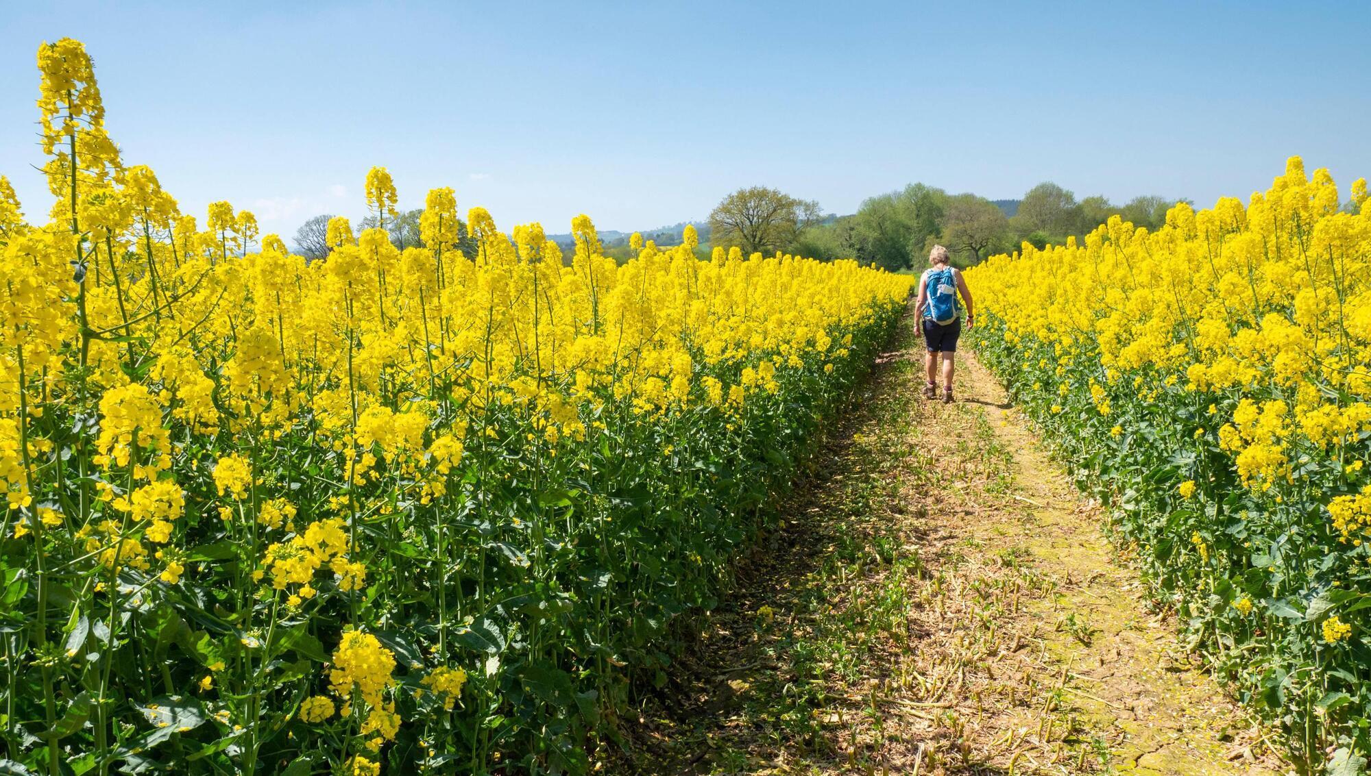5 ways to treat hay fever without medication