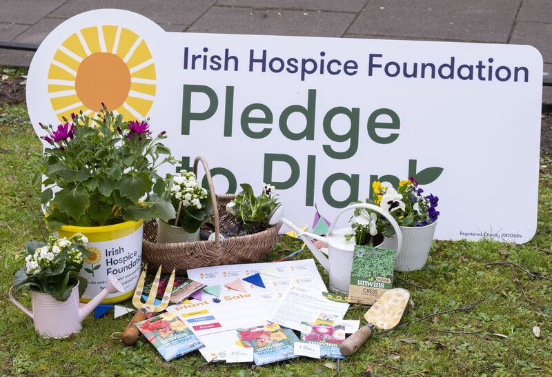 Irish Hospice Foundation, Pledge to Plant. Irish Hospice Foundation, Pledge to Plant.