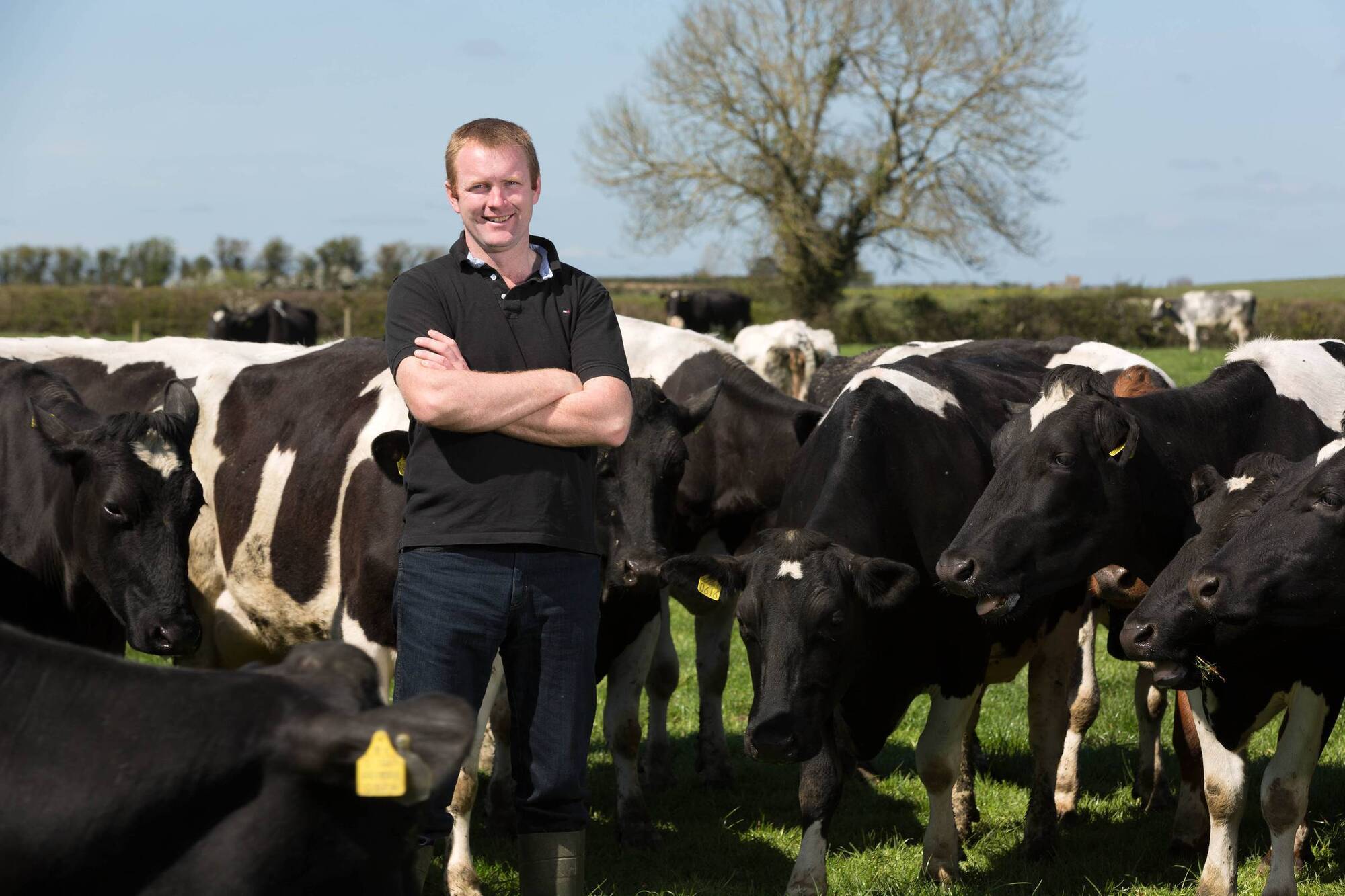 Deputy president of the Irish Creamery Milk Suppliers Association Denis Drennan said for a Nitrates Derogation application to be valid, all terms and conditions of the derogation must be adhered to.
