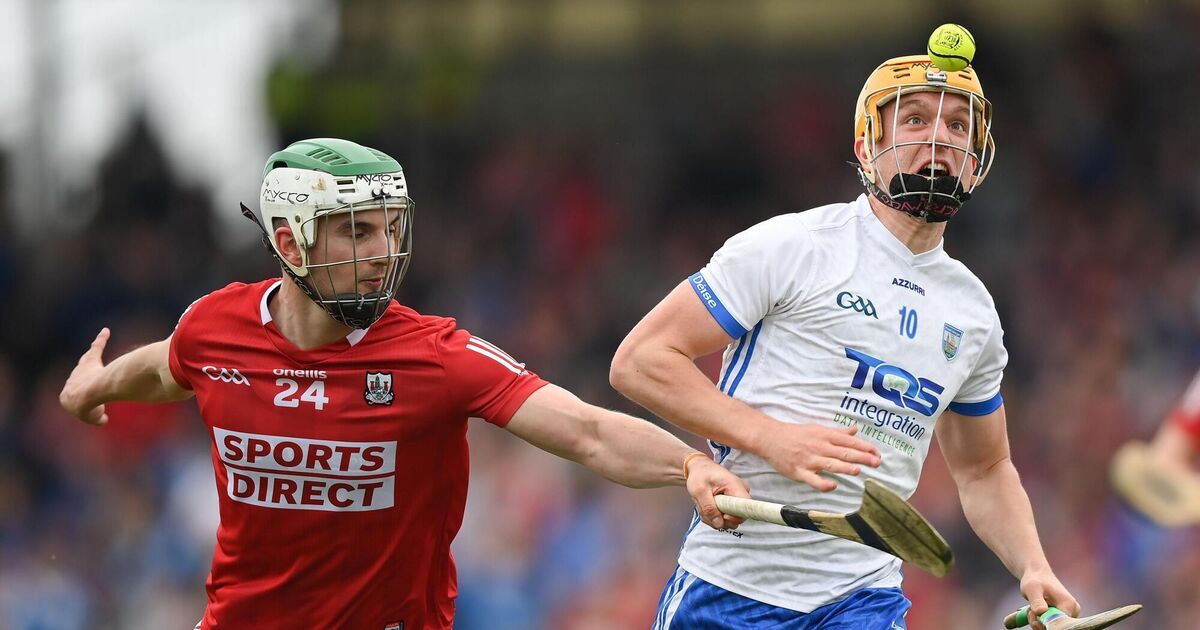 Seamus Harnedy says Cork 'bottled up' the hurt from previous losses