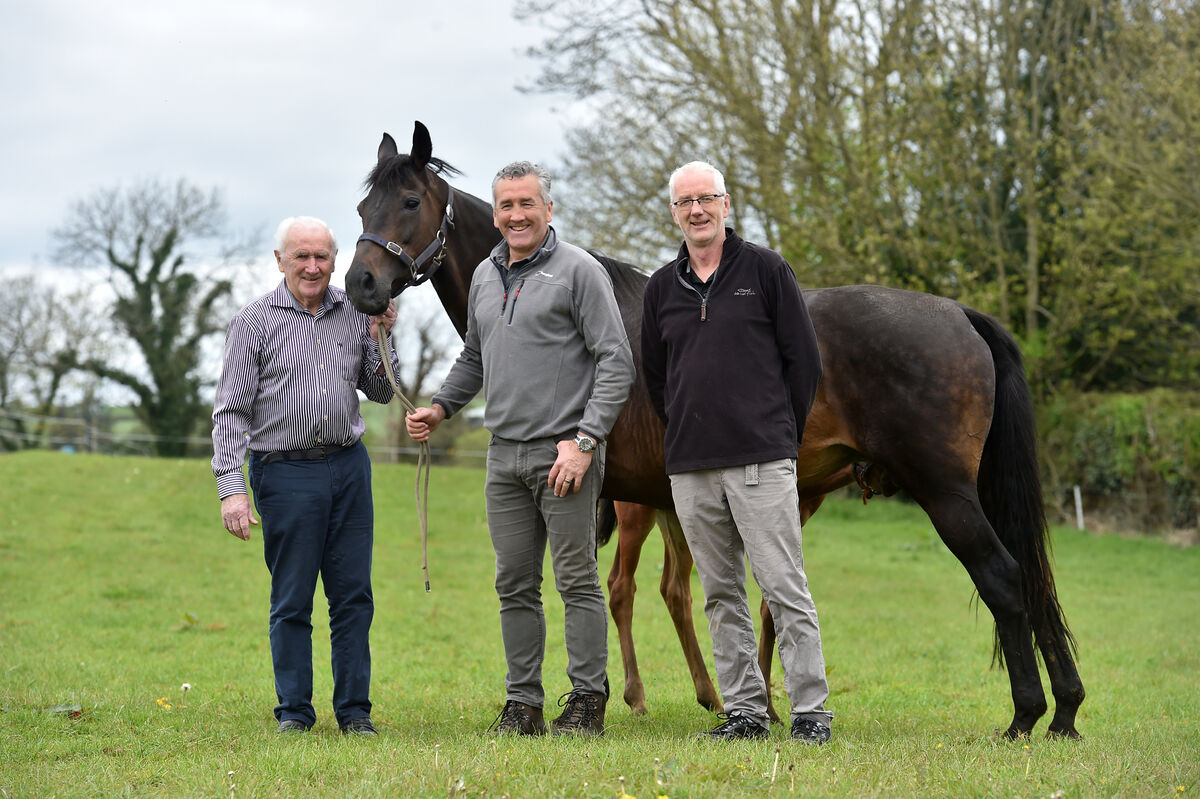 Terry, Kevin, and Barry Dillon, Clonakilty, West Cork with May Dullea, a sister to Conflated. Picture: Dan Linehan Terry, Kevin, and Barry Dillon, Clonakilty, West Cork with May Dullea, a sister to Conflated. Picture: Dan Linehan