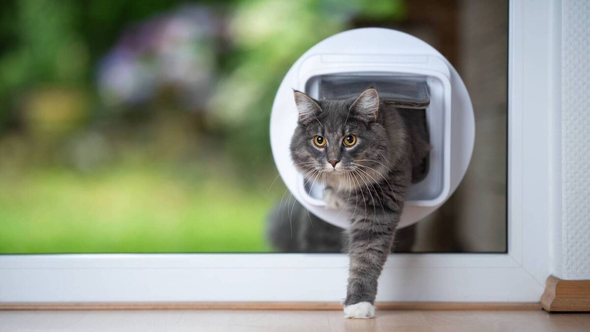 cat flap suppliers