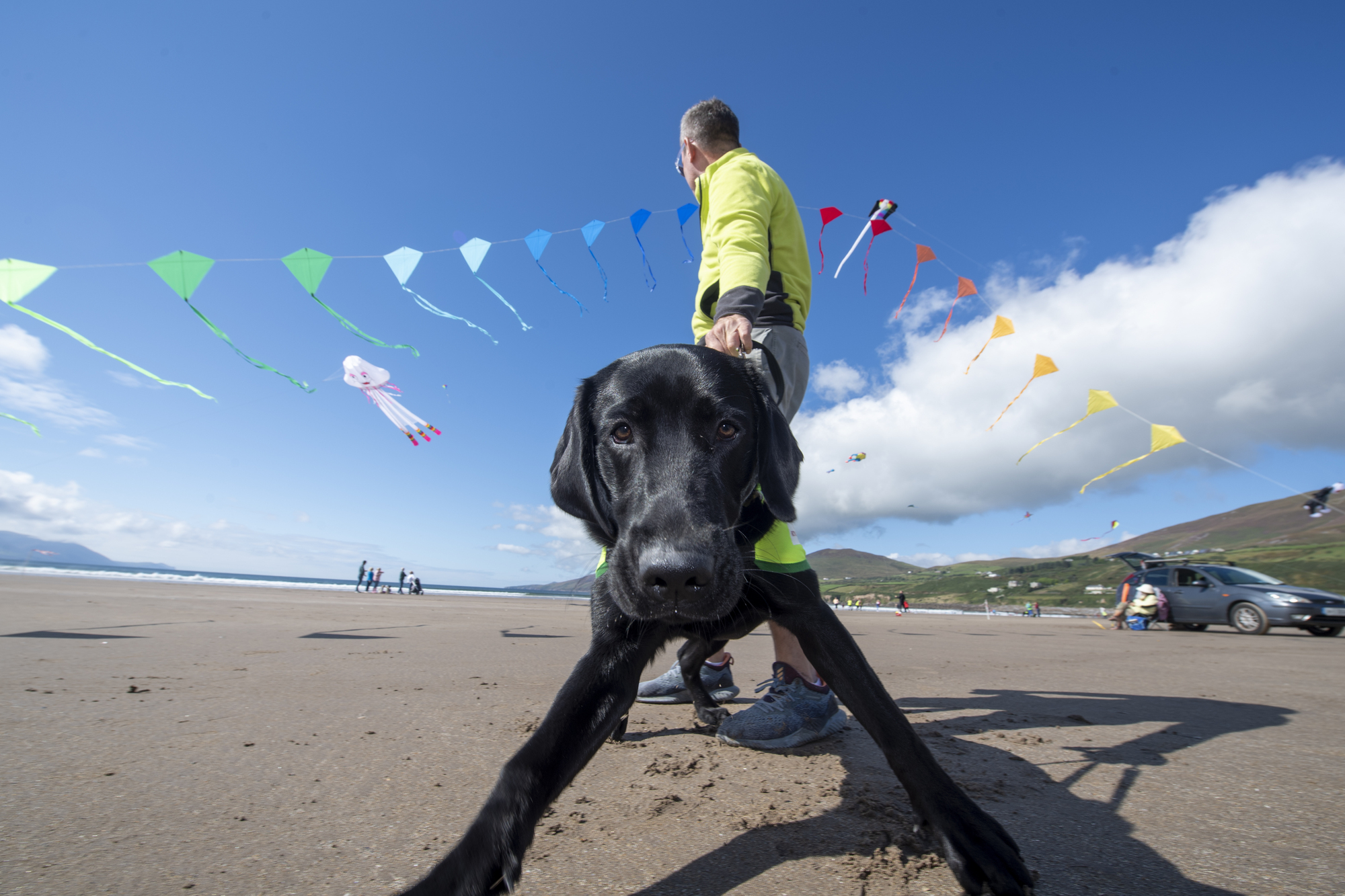 Dog ban on Kerry beaches 'nanny-state nonsense', says Healy-Rae