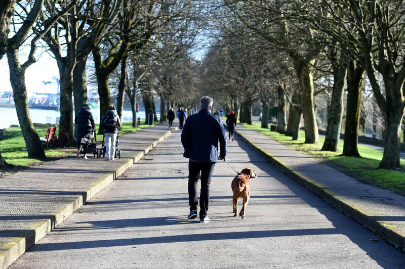 Mark Kelly with dog George. Dudes and Dogs meet at 11am each Sunday at The Atlantic Pond (Blackrock End of Páirc Uí Chaoimh), The Marina, Cork. Picture: Larry Cummins Mark Kelly with dog George. Dudes and Dogs meet at 11am each Sunday at The Atlantic Pond (Blackrock End of Páirc Uí Chaoimh), The Marina, Cork. Picture: Larry Cummins