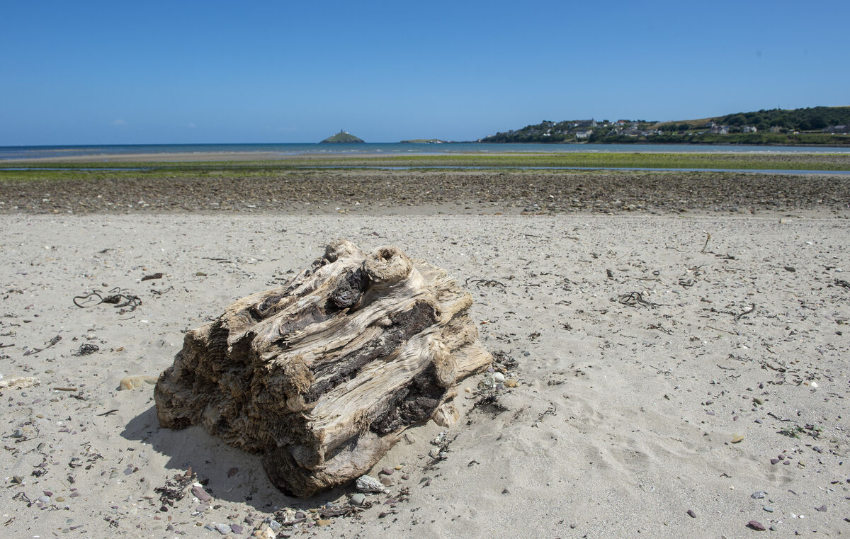 Ballynamona Ceach in East Cork. File picture: Dan Linehan