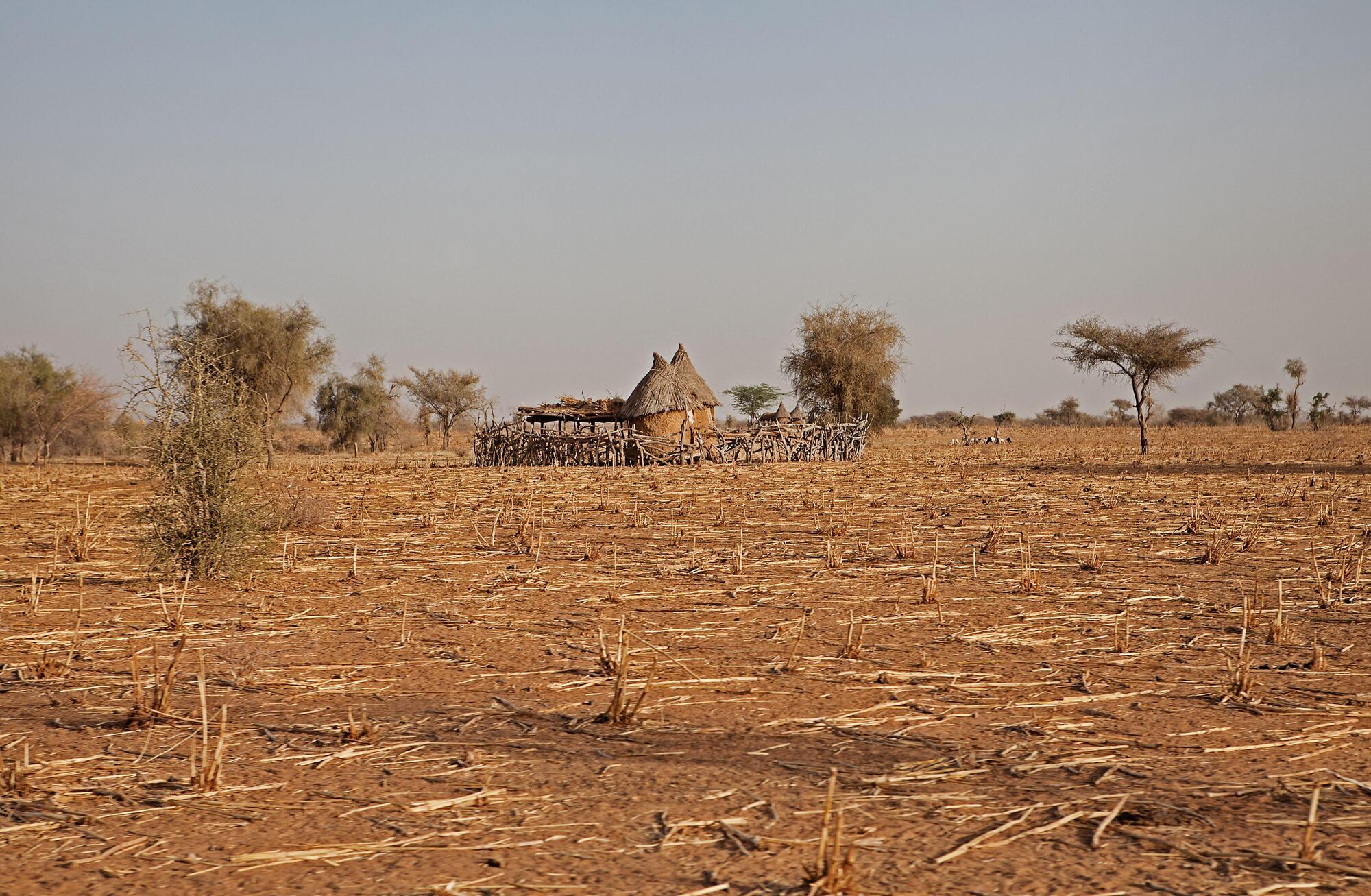 UN warns of 18 million facing severe hunger in region of Africa