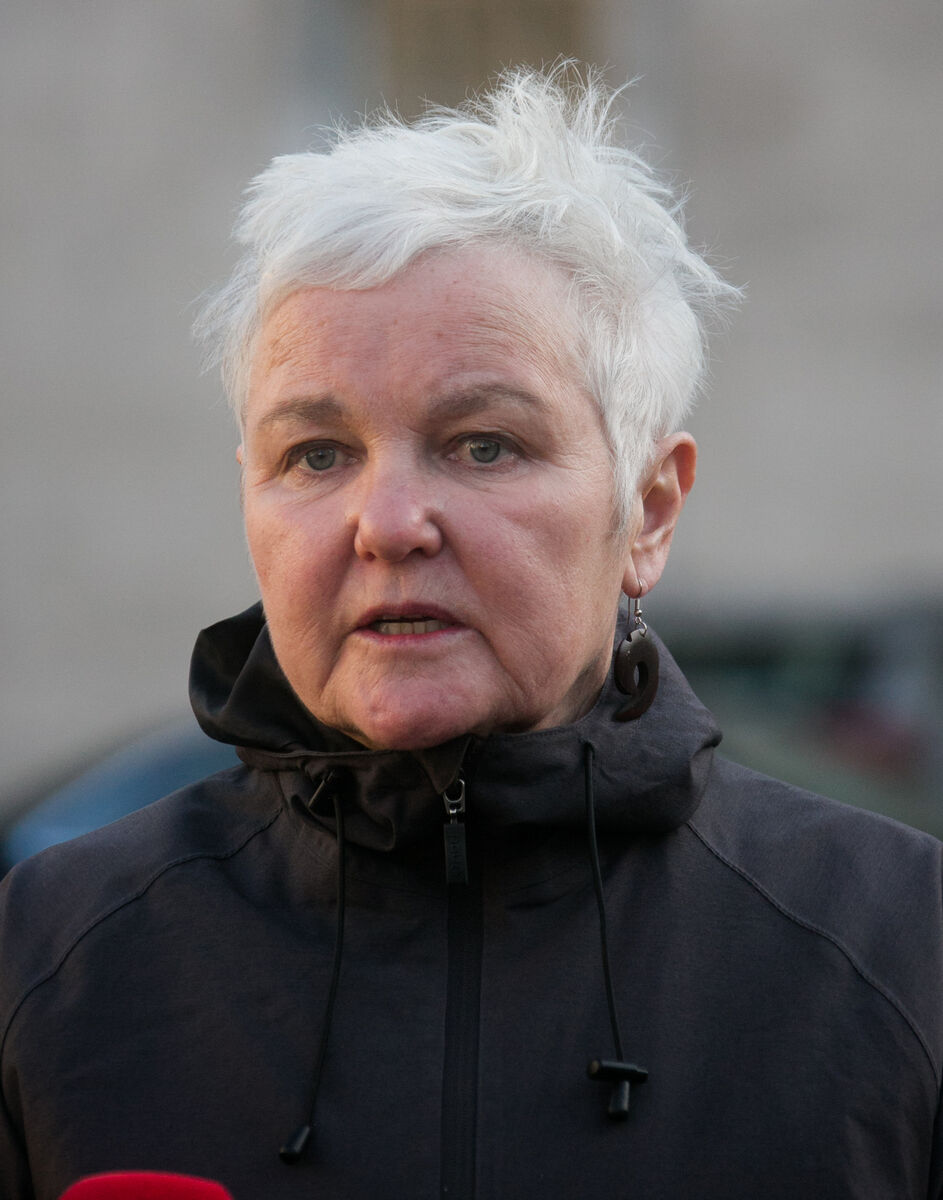 People Before Profit TD Bríd Smith: Still has concerns over NMH deal. Picture: Gareth Chaney/Collins People Before Profit TD Bríd Smith: Still has concerns over NMH deal. Picture: Gareth Chaney/Collins