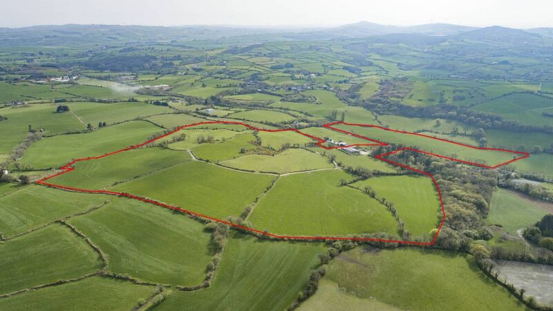 Quality farm near Clonakilty seeking €12k an acre
