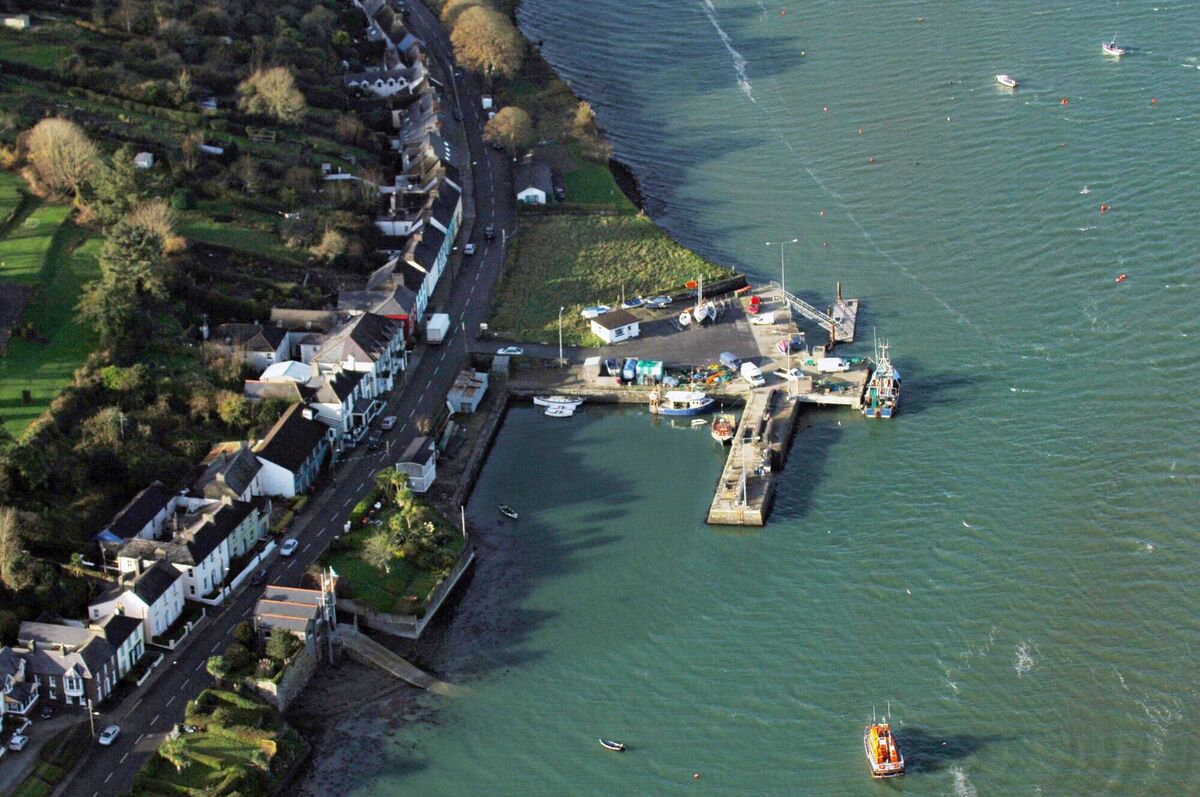 Seagull's view of Courtmacsherry
